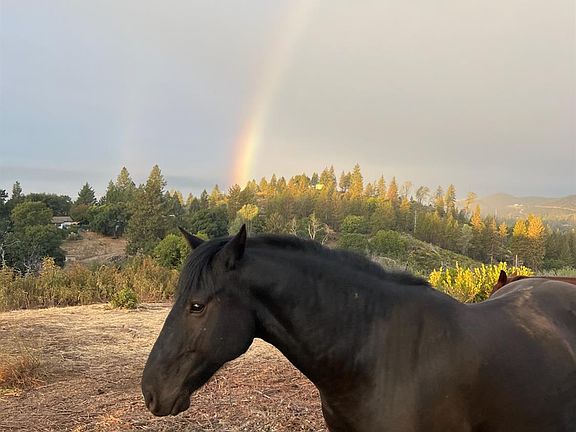 2nd image of 6165 Starlight Ln