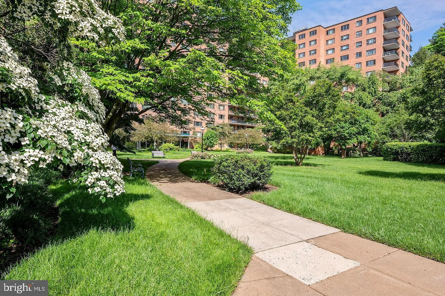 4201 Cathedral — Photo 1