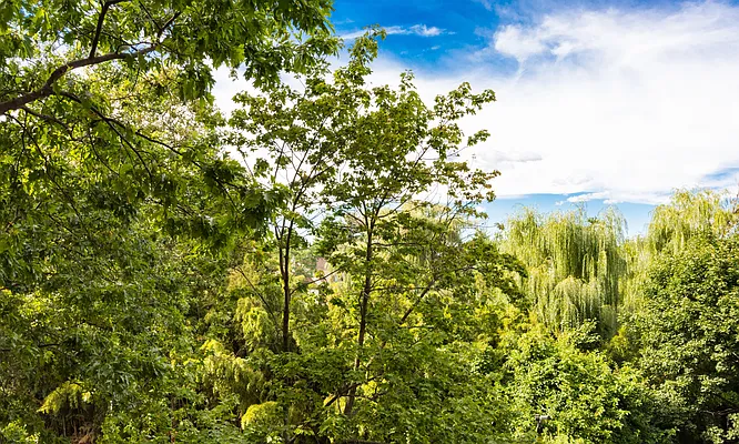 Sold by Re/Max In The City | media 15