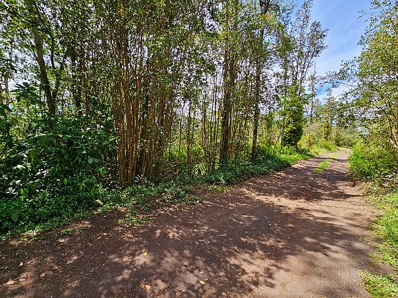 2nd image of Silversword Ct Lot 24