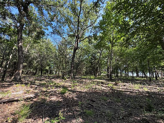 5th image of 144 Cedar Oak Dr