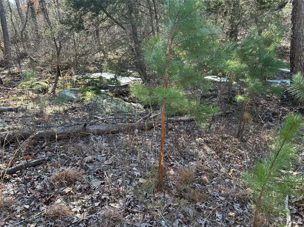 0 Decker Rd, Licking, MO 65542