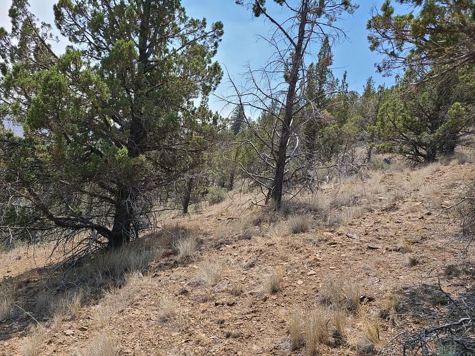 1200 SE Jack Rabbit Trl, Prineville, OR 97754 Zillow
