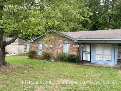 3785 Black Forest Dr, Memphis, TN, 38128