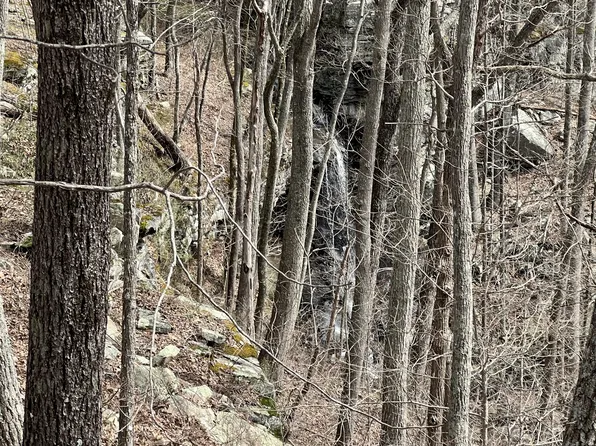 4441 Deer Run Rd, Altamont, TN 37301