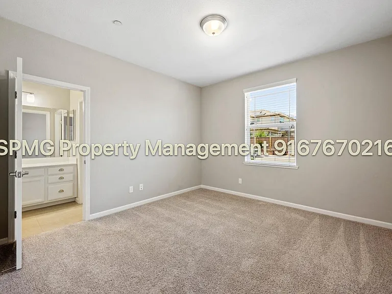 5649 Black Willow St — Photo 22
