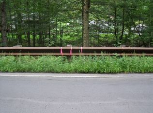 60 Ashfield Rd, Williamsburg, MA 01096