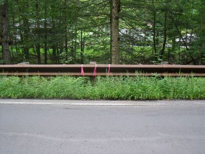 60 Ashfield Rd, Williamsburg, MA, 01096