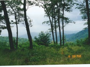 46 Pumpkin Patch Rd, Black Mountain, NC 28711