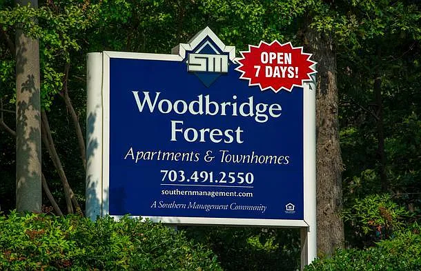 Woodbridge Forest — Photo 13
