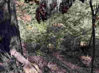 4 Devils Tower Ln, High Rolls Mountain Park, NM 88325