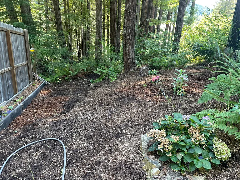 Salmon Creek Rd — Photo 6