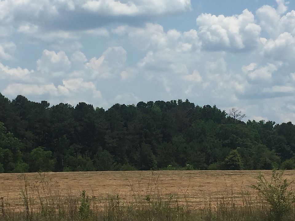 2nd image of 0 Patton Rd