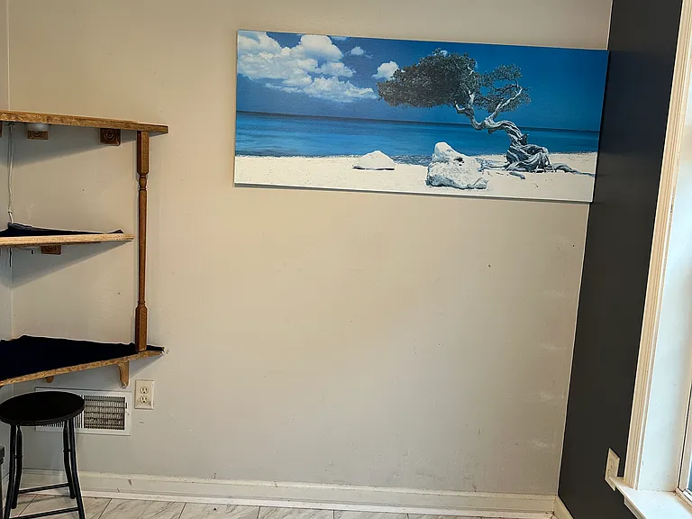1209 Cross Creek Dr — Photo 39