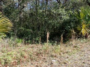 59 S Croft Ave, Inverness, FL 34453