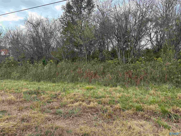 State Highway 75, Ider, AL 35981