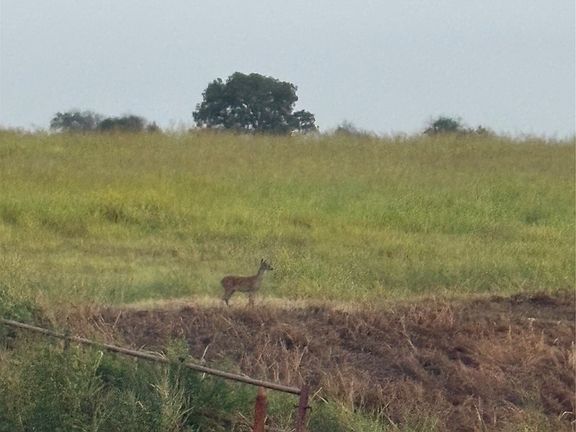 2nd image of 4562 Highway 77