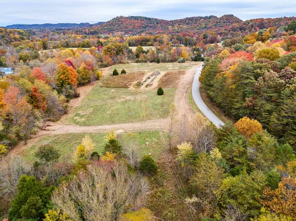 Three Pines Rd, Lebanon, KY 40033