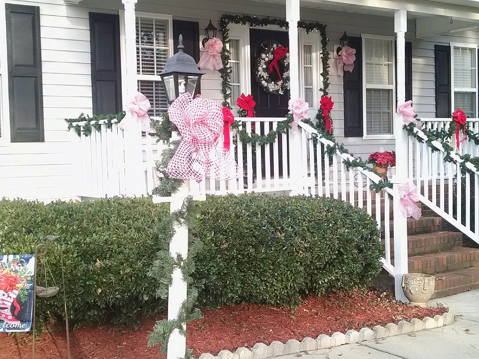Dressed up for Christmas!