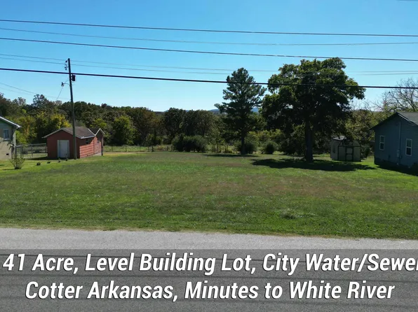 240 Walnut Hill Ln, Cotter, AR 72626