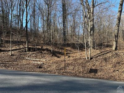0 Buttermilk Falls Road, Catskill, NY, 12414