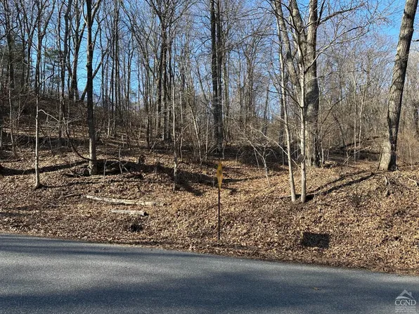 0 Buttermilk Falls Road, Athens, NY 12015