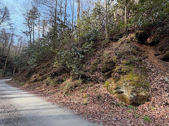 2nd image of Webb Creek Rd