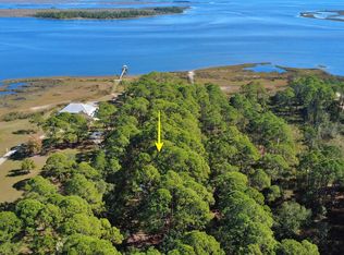 182 Levy Bay Rd, Panacea, FL 32346