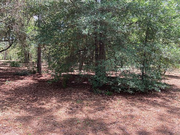 4th image of 7568 Los Padres Ave