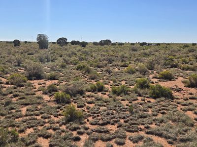 2334 S Spring St, Williams, AZ, 86046