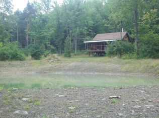 7426 Randallville Rd, Bath, NY 14810