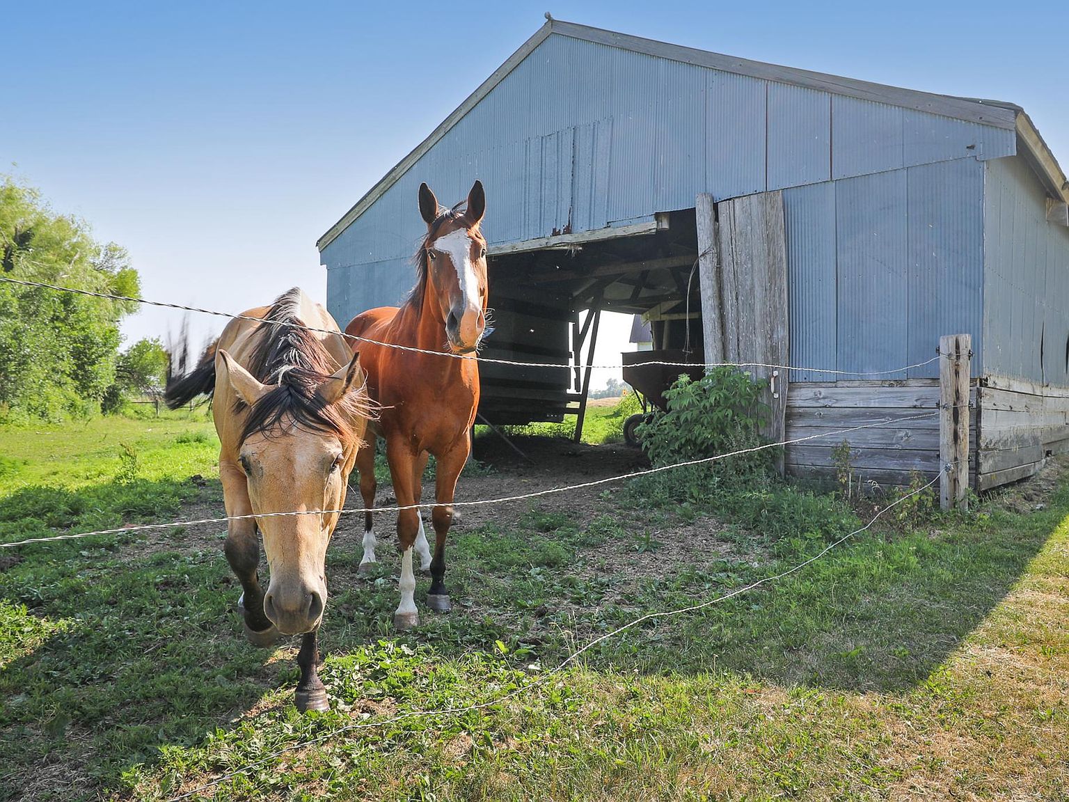 26724 630th Ave, Brownsdale, MN 55918 Zillow