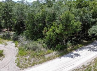 Brown Avenue Lot #2410, Orange City, FL 32763