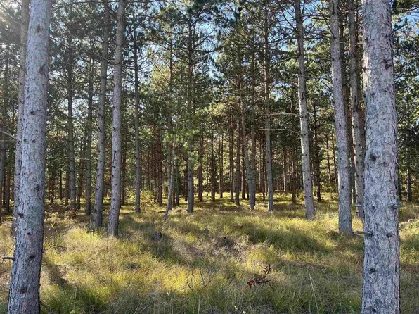 Lot 4 Luna Lane #4, Nekoosa, WI 54457