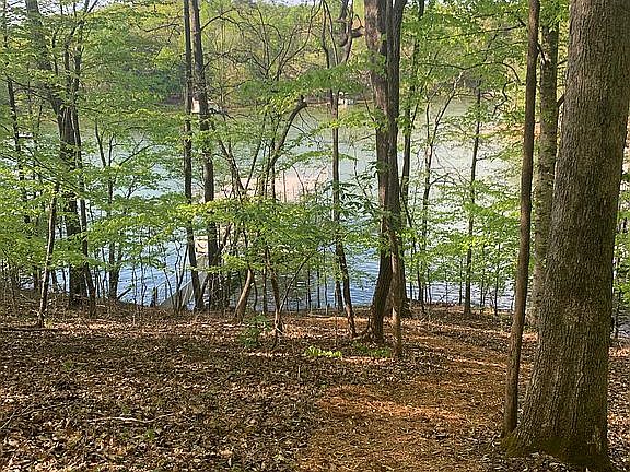 Mulched Pathway to Dock