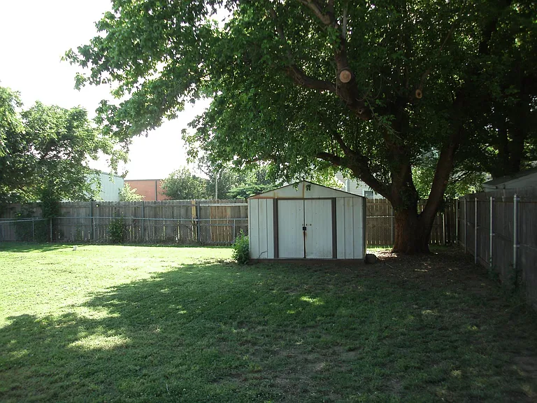 Back yard