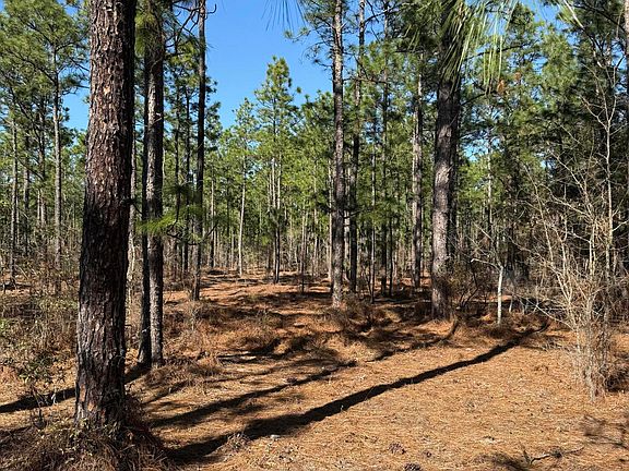 2nd image of Fairview Rd