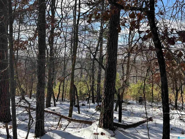 10 Bounds Landing Rd #10, Columbiana, AL 35051