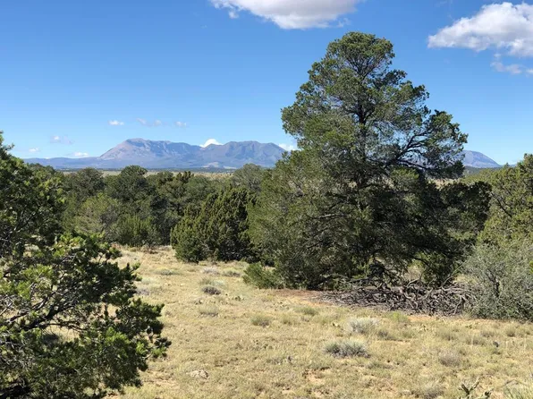 932 Rio Cucharas, Walsenburg, CO 81089