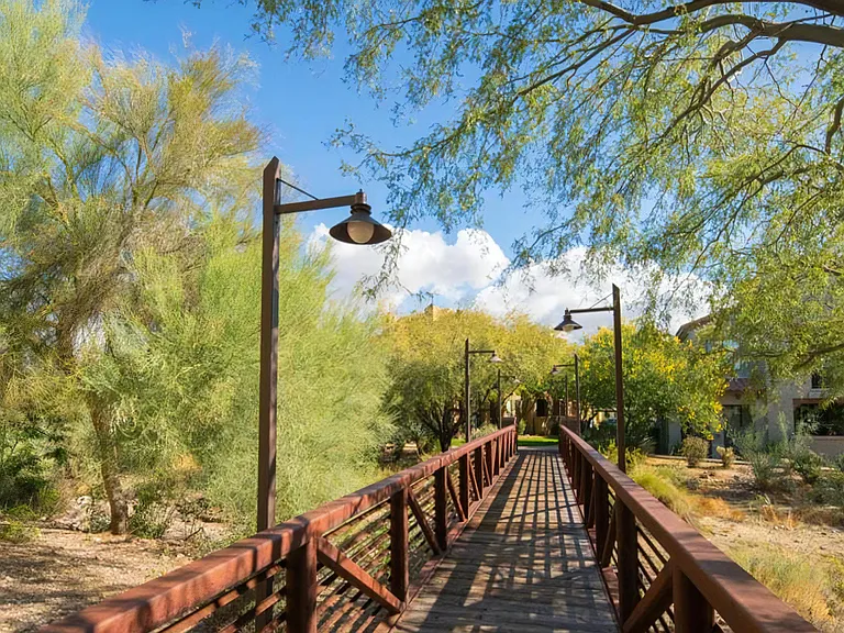 Peaceful Nature Trail with Rustic Bridge and Scenic Surroundings