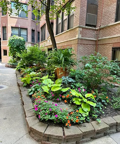 777 W Diversey Pkwy #3NE — Photo 12