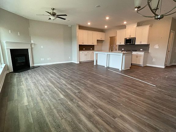 Open floor - Family Room, Dining & Kitchen