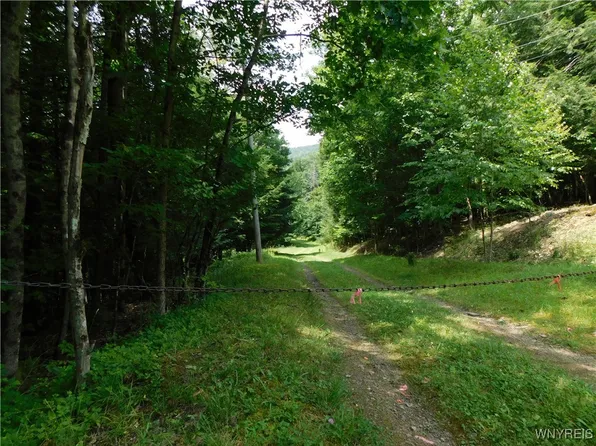 0 Thumb Rd #13, Bolivar, NY 14715