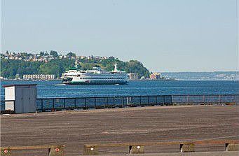 View from Living Room