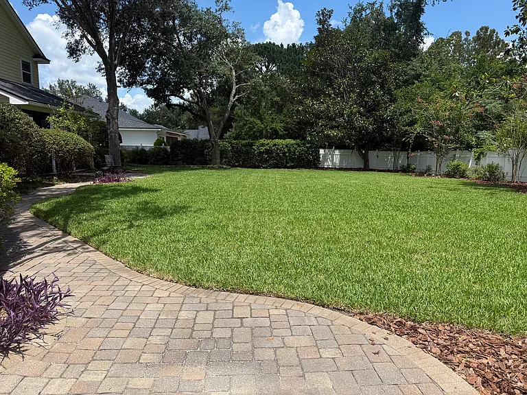 Spacious Fenced in Yard