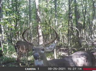 3 Terrell Rd, Albertville, AL 35951