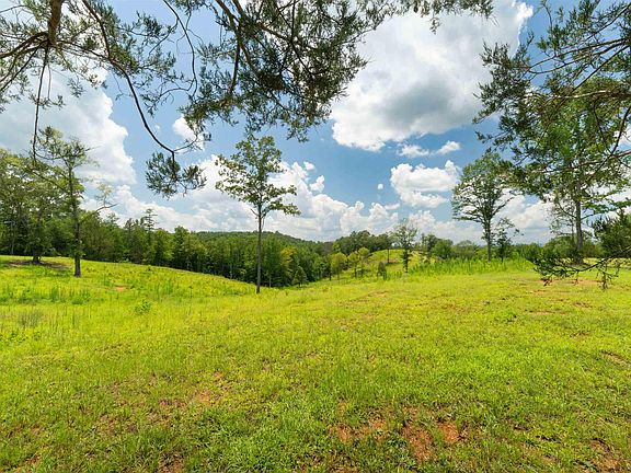5th image of 1310 County Road 269 #0