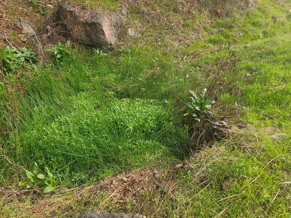 Thumbnail 14