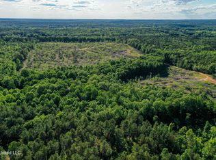 1 County Road 433, Thaxton, MS 38871