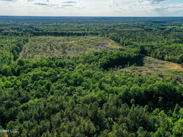 1 County Road 433, Thaxton, MS 38871